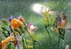 Vești proaste de la meteo! Prognoza meteo pentru următoarele două săptămâni