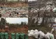 #Trashtag, noua provocare virală
