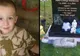 La mormântul fiului ei i-a spus în gând: "Dă-i lui mami un semn". Ce a urmat este copleșitor