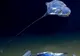 Creatura descoperită în ocean "nu seamănă cu nimic văzut până acum"