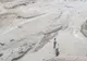 Pescuit cu furca în prima zi de prohibiție pe Lacul Galbeni din Bacău(Video)