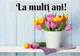Mesaje de Florii 2019. Ce nume se sărbătoresc? La mulți ani!