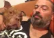 Imagini uluitoare de la descinderea mascaților DIICOT în gruparea fiului lui Andrei Pleșu