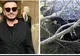 Răzvan Ciobanu a murit. Greșeala fatală care i-a adus moartea. Ipoteza ȘOC