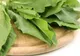 Dieta de primăvară care îţi schimbă sângele. Efectele ei sunt miraculoase