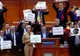 PNL și USR atacă modifcările Codurilor Penale la CCR