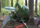 Elicopter prăbuşit în Maramureş! Pilotul a decedat! Aparatul zbura clandestin în România (VIDEO)