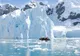 Cât de gravă e problema topirii ghețarilor din Antarctica? Specialiștii trag un semnal de alarmă
