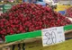 Au apărut cireșele în piață! Nu dați năvală: o cireașă=o pâine