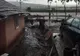 Rupere de nori în Botoşani, o viitură a lovit mai multe gospodării (FOTO+VIDEO)