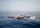 Cel puţin 70 de migranţi au murit înecaţi în Mediterana