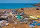 Descoperirea despre plastic care a creat panică în lumea oamenilor de știință