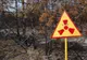 Prima dronă trimisă în pădurea "zombie" de la Cernobîl. Șocant ce au găsit oamenii de știință