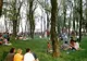 Încep tratamentele împotriva insectelor. Ce îi așteaptă pe bucureșteni