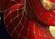 Spiderman a căzut de la înălțime și a ajuns la spital