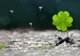 Zodiile cu noroc uriaş în următorii 3 ani. Grijile financiare, risipite ca prin minune!