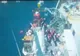 FOTO VIDEO Focuri de armă în Marea Neagră.Turci prinși la braconaj