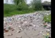 Viitură cu tone de PET-uri şi gunoaie în Argeş! (VIDEO)