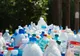 Salvarea de la catastrofa poluării cu plastic se află chiar în natură