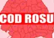 COD ROȘU de inundații în județul Timiș