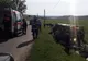 Clipe de coșmar pentru 9 turiști francezi lângă Mediaș. Caii au luat-o razna, 8 ambulanțe chemate