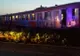 Accident grav. Microbuz spulberat de un tren în județul Timiș