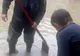 Dezastru la Arad! Zeci de persoane evacuate din cauza inundațiilor