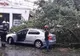 Dezastrul lăsat de furtuni în România, în imagini. Ravagiile făcute de fenomenele meteo extreme 