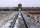 Căile ferate din Olanda acordă despăgubiri de zeci de milioane de euro victimelor Holocaustului