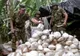 "Moștenirea" lui Pablo: 70% din cocaina la nivel mondial provine din Columbia