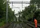 Un copac căzut a blocat circulația pe DN7 și traficul feroviar. UPDATE