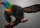 Ce aflăm despre păsările moderne de la dinozaurul „curcubeu”