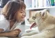 Cercetătorii au descoperit calea spre fericire: să ai un animal de companie, un "job” de acasă și...