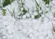 Grindina a făcut prăpăd în judeţul Bacău, în câteva minute vara a devenit iarnă VIDEO)
