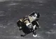 Explicația NASA la una dintre cele mai dificile întrebări despre spațiu