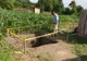 Descoperire cumplită făcută de un prahovean care săpa o groapă în curte