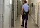 Legea privind statutul poliţiştilor de penitenciare a fost adoptată în Parlament
