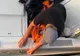 Un turist a căzut în mare cu parapanta