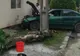 Accident în Sfântu Gheorghe. Un șofer a dărâmat un copac și a "parcat" într-o casă