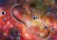 O bacterie rezistentă la antibiotice se răspândește rapid în spitalele din Europa