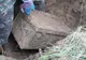 Au găsit un cufăr îngropat în pământ și l-au deschis. Ce au găsit în el, ascuns de zeci de ani