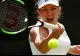 Reacție senzațională după meciul Halep - Buzărnescu