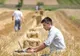 Mai multe organizații neguvernamentale derulează programe de promovare a liceelor agricole