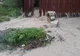 Prăpăd în judeţul Suceava, localităţi lovite de viituri de noroi (VIDEO)