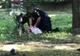 Dosar penal în rem pentru ucidere din culpă, în cazul jandarmilor de la Vatra Dornei