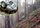O mașină dispărută în urmă cu 27 de ani, găsită în pădure, înfiptă în pom. Oribil ce era lângă ea!
