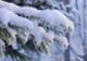 Vremea 24 ianuarie - Intensificări puternice de vânt în Muntenia și Oltenia - Temperaturile revin la normalul perioadei - Unde va ninge