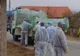 Dezastrul din administrație. Județul Buzău, la mila Domnului, în cazul izbucnirii unei epidemii precum pesta porcină