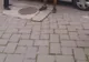 Bătaie în Parcul Copiilor din Timișoara