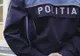 Undă verde pe statutul polițiștilor. USR şi PNL vor contesta iniţiativa la CCR